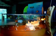 ENYDREIO_11_DSC00922