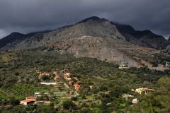 ELAIONAS_1_DSC_8872
